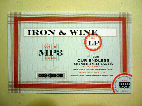 Vinyl Record Iron and Wine - Our Endless Numbered Days (LP) - 6