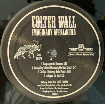 Δίσκος LP Colter Wall - Imaginary Appalachia (LP) - 2