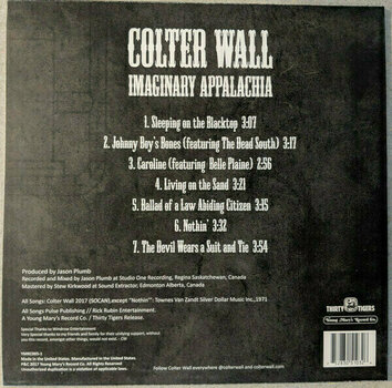 Δίσκος LP Colter Wall - Imaginary Appalachia (LP) - 6