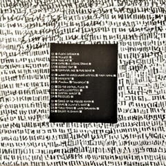 Vinüülplaat Flying Lotus - Cosmogramma (2 LP) - 1