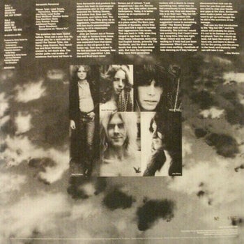 Δίσκος LP Aerosmith - Aerosmith (LP) (180g) - 4