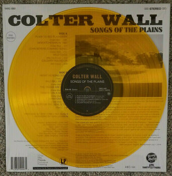 LP Colter Wall - Songs Of The Plains (LP) - 6