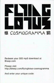 LP Flying Lotus - Cosmogramma (2 LP) - 14