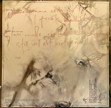 Vinyl Record Cocteau Twins - Head Over Heels (LP) (180g) - 5
