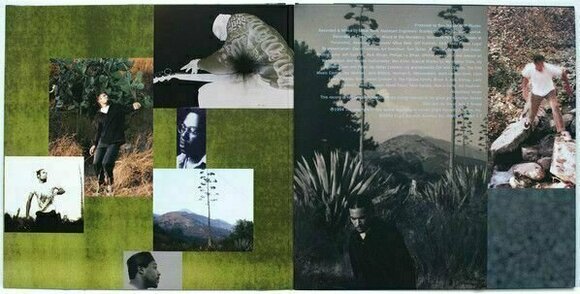 Δίσκος LP Ben Harper - Welcome To the Cruel World (2 LP) (180g) - 3