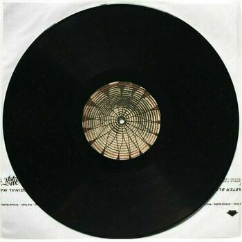 Δίσκος LP Ben Harper - Welcome To the Cruel World (2 LP) (180g) - 4