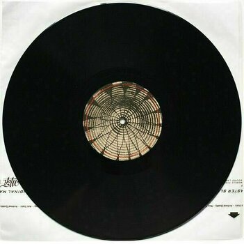 Δίσκος LP Ben Harper - Welcome To the Cruel World (2 LP) (180g) - 6