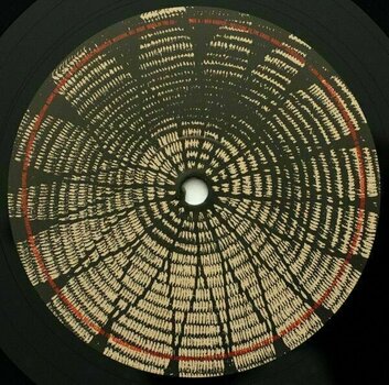 Δίσκος LP Ben Harper - Welcome To the Cruel World (2 LP) (180g) - 8