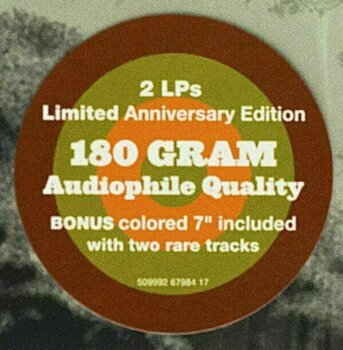 Δίσκος LP Ben Harper - Welcome To the Cruel World (2 LP) (180g) - 9