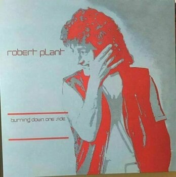 LP Robert Plant - Digging Deep (45 RPM) (Box Set) - 3