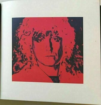 LP Robert Plant - Digging Deep (45 RPM) (Box Set) - 11