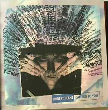 LP Robert Plant - Digging Deep (45 RPM) (Box Set) - 13