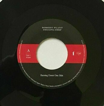 LP Robert Plant - Digging Deep (45 RPM) (Box Set) - 20