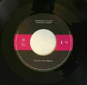 LP Robert Plant - Digging Deep (45 RPM) (Box Set) - 29