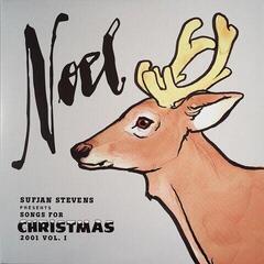 Disco in vinile Sufjan Stevens - Songs For Christmas (Box Set) (5 LP) - 2
