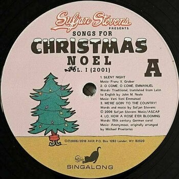 LP Sufjan Stevens - Songs For Christmas (Box Set) (5 LP) - 5