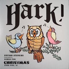 Disco in vinile Sufjan Stevens - Songs For Christmas (Box Set) (5 LP) - 6