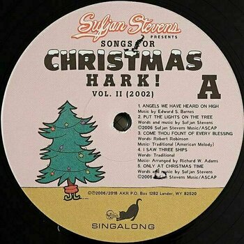 LP Sufjan Stevens - Songs For Christmas (Box Set) (5 LP) - 9