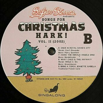 LP Sufjan Stevens - Songs For Christmas (Box Set) (5 LP) - 10