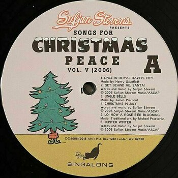 LP Sufjan Stevens - Songs For Christmas (Box Set) (5 LP) - 21