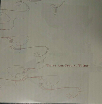 Schallplatte Celine Dion These Are Special Times (2 LP) - 2