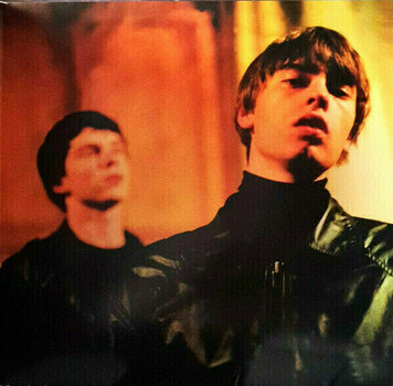 LP deska Mando Diao - Bring 'Em In (Smokey Coloured) (LP) - 5