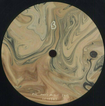 Disque vinyle Sóley Don't Ever Listen (Vinyl LP) - 4