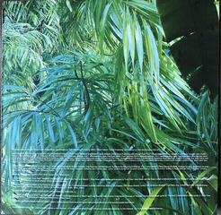 Δίσκος LP Sofi Tukker - Tree House (LP) - 4