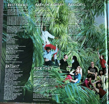 Vinyl Record Sofi Tukker Tree House (LP) - 5