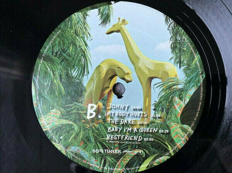 Vinyl Record Sofi Tukker Tree House (LP) - 8