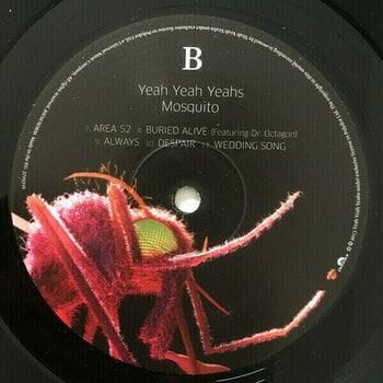 Yeah Yeah Yeahs - Mosquito (LP)