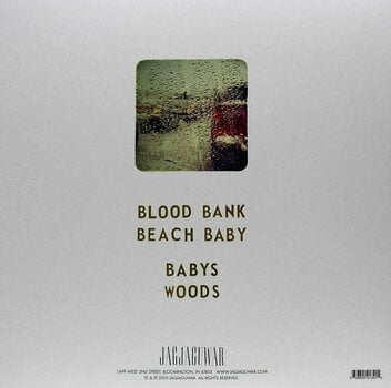 Vinyl Record Bon Iver - Blood Bank (LP) - 2