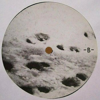 Грамофонна плоча Bon Iver - Blood Bank (LP) - 4