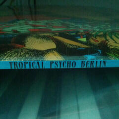 Hanglemez La Femme - Psycho Tropical Berlin (2 LP) - 5