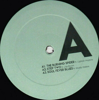 Disco de vinil Parov Stelar - The Burning Spider (2 LP) - 3