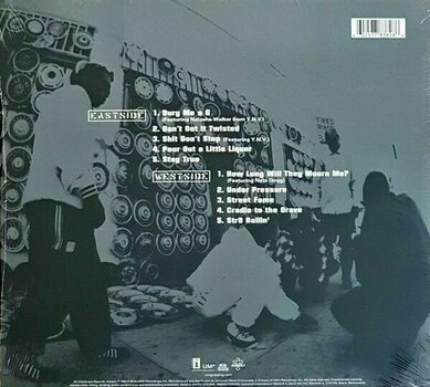 Vinyl Record 2Pac - Thug Life: Volume 1 (Anniversary Edition) (LP) - 2