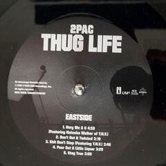 Vinyl Record 2Pac - Thug Life: Volume 1 (Anniversary Edition) (Reissue) (LP) - 1