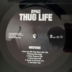 Vinyl Record 2Pac - Thug Life: Volume 1 (Anniversary Edition) (Reissue) (LP) - 2