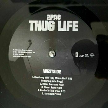 Płyta winylowa 2Pac - Thug Life: Volume 1 (Anniversary Edition) (LP) - 8