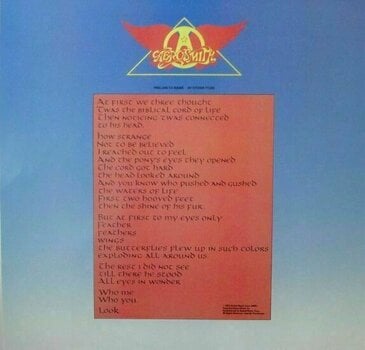 Hanglemez Aerosmith - Rock In A Hard Place (Limited Edition) (180g) (LP) - 5