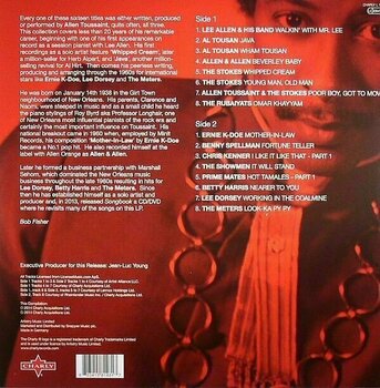 Płyta winylowa Allen Toussaint - Everything I Do Is Gonh Be Funky (180g) (LP) - 2