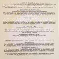 Грамофонна плоча Amos Lee - My New Moon (LP) - 4