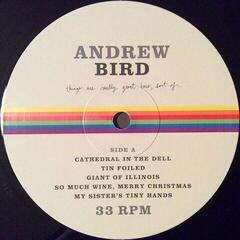 Vinüülplaat Andrew Bird - Things Are Really Great Here, Sort Of... (LP) - 3