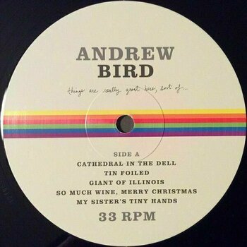Hanglemez Andrew Bird - Things Are Really Great Here, Sort Of... (LP) - 4