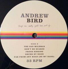 Vinüülplaat Andrew Bird - Things Are Really Great Here, Sort Of... (LP) - 4