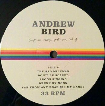 Hanglemez Andrew Bird - Things Are Really Great Here, Sort Of... (LP) - 5