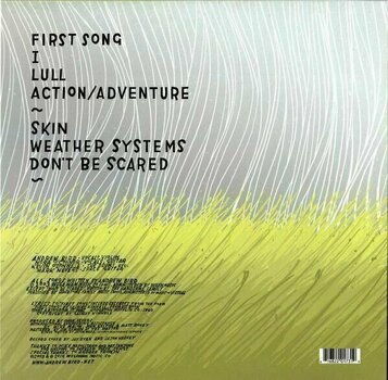 Hanglemez Andrew Bird - Weather Systems (Gatefold Sleeve) (2 LP) - 2