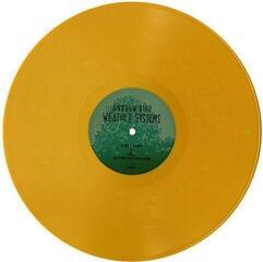 Vinüülplaat Andrew Bird - Weather Systems (Gatefold Sleeve) (2 LP) - 2