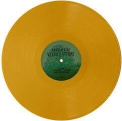 Vinüülplaat Andrew Bird - Weather Systems (Gatefold Sleeve) (2 LP) - 3