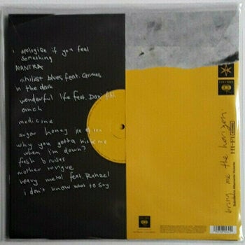 Vinyl Record Bring Me The Horizon - Amo (Printed PVC Sleeve) (2 LP) - 3